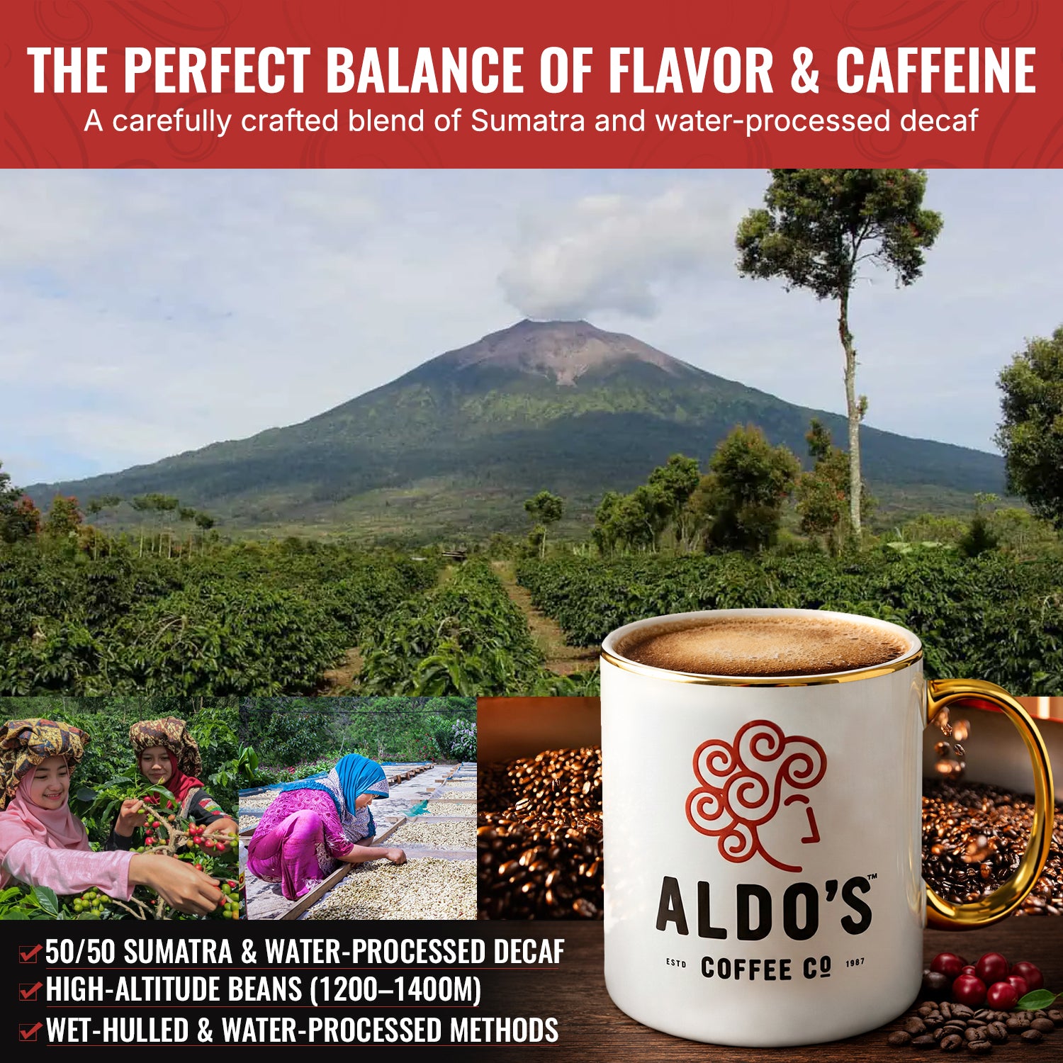 Half Decaf — USDA Organic Dark Roast Coffee Blend