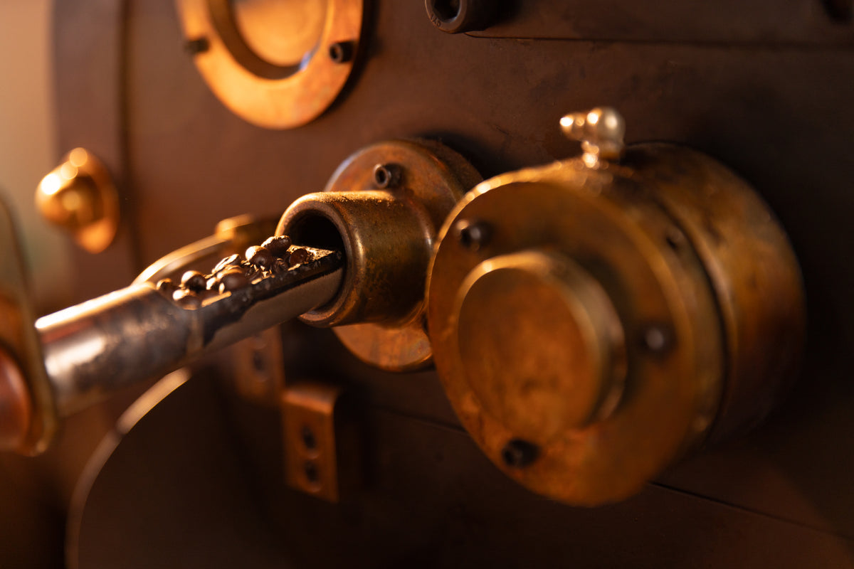 Coffee beans on the sampling scoop of Aldo's small-batch roaster in Greenport