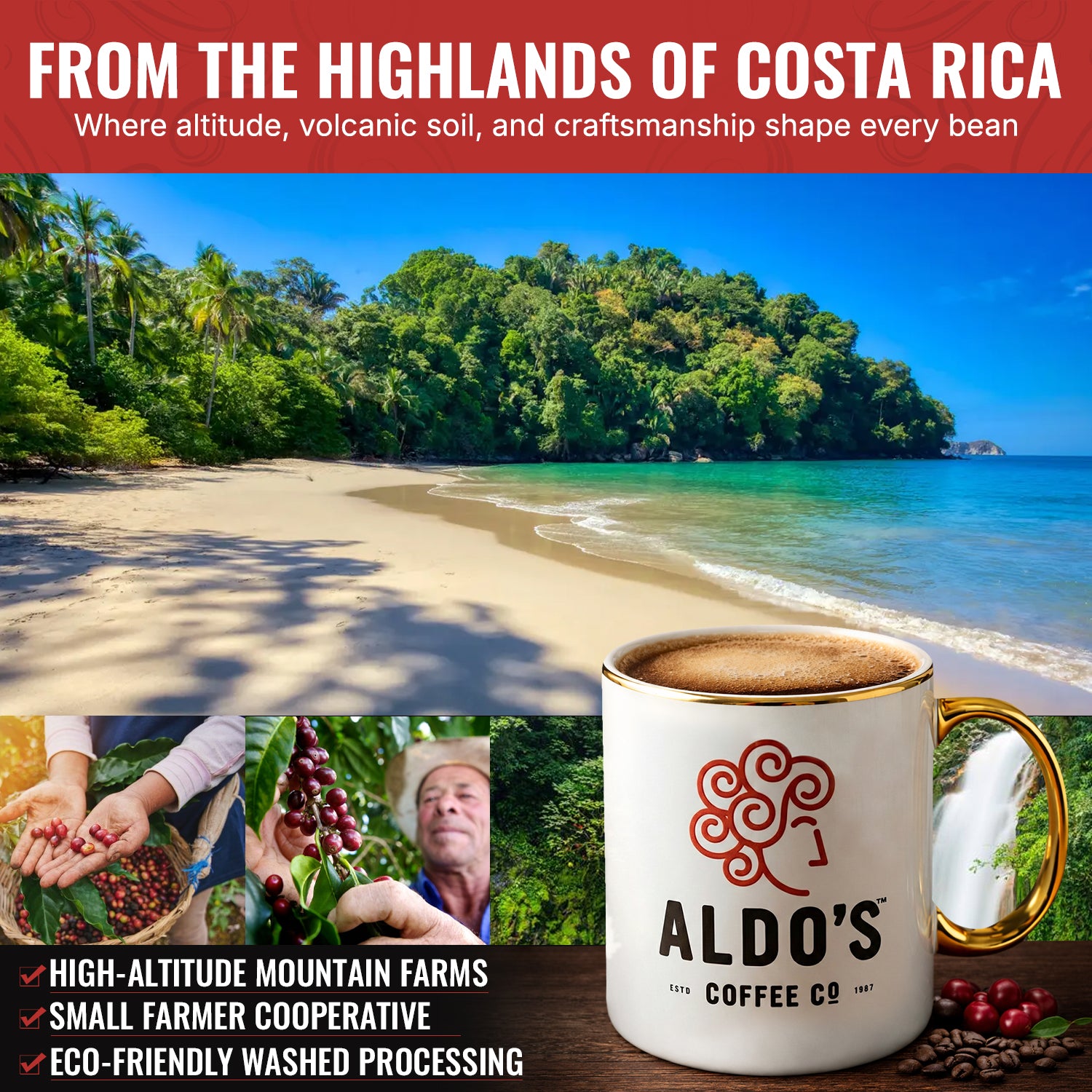 Costa Rica Single Origin (Medium Roast)