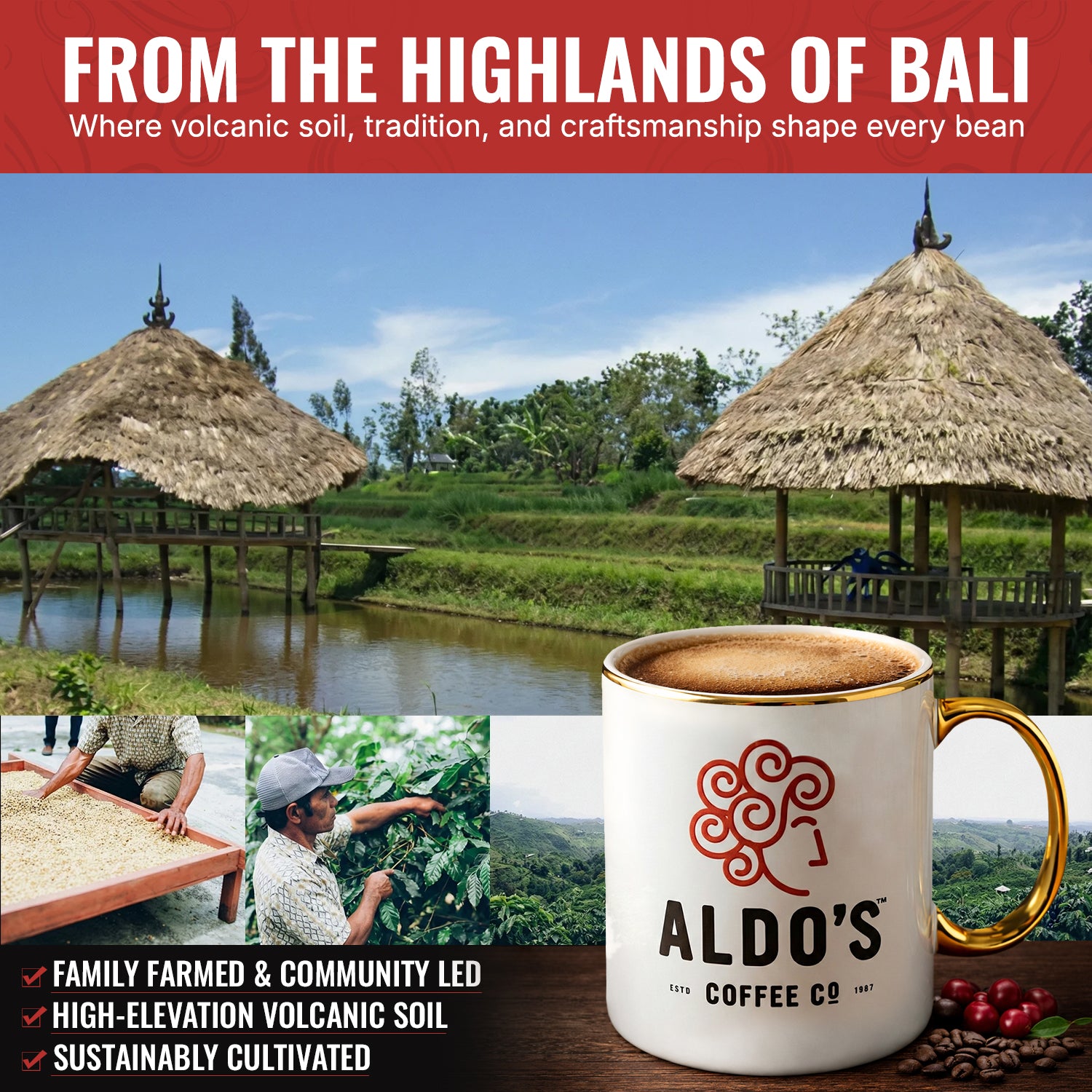 Bali Blue Krishna Coffee – Organic Single Origin, Deep, Velvety