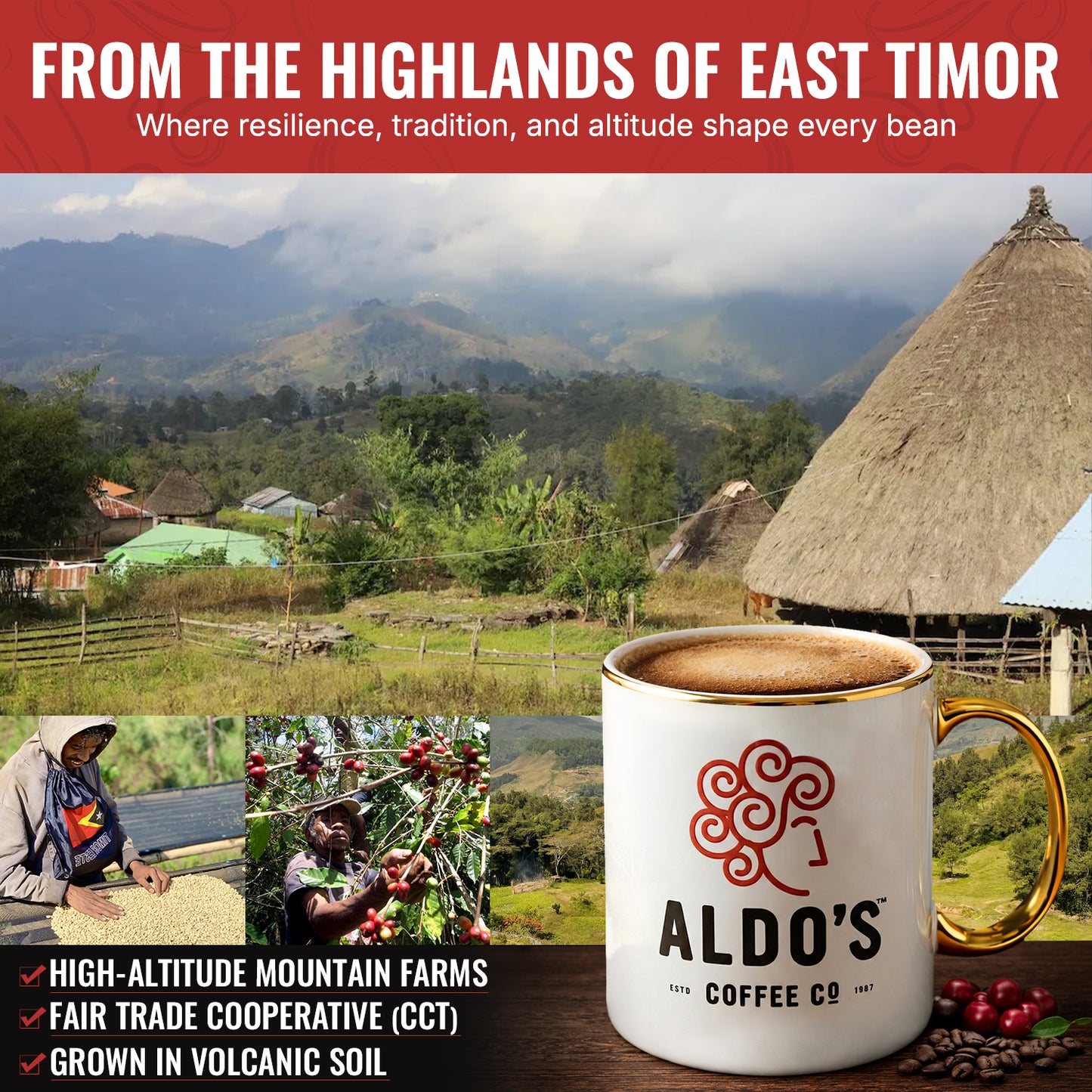 Decaf Blend (Dark Roast)