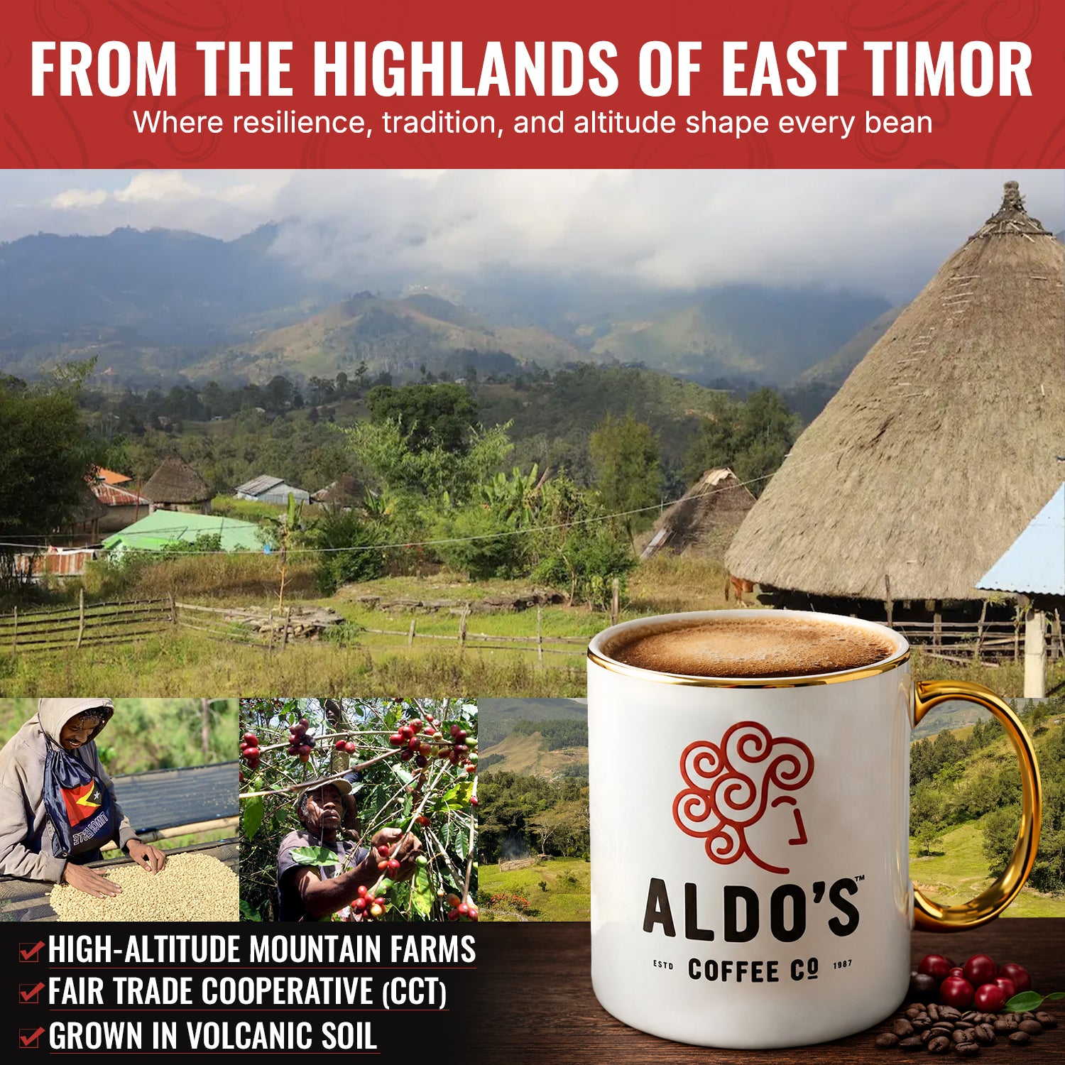 Decaf Blend (Dark Roast)