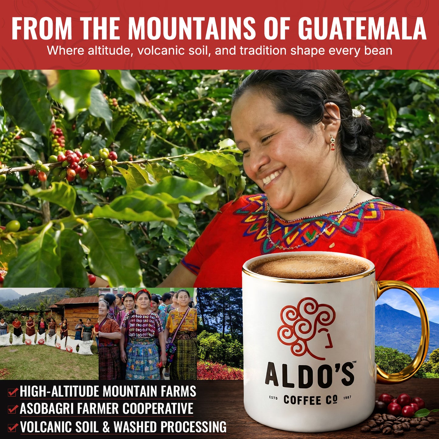 Guatemala Single Origin (Medium Roast)